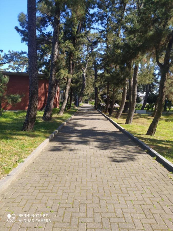 Seaside Apartment Kobuleti Zewnętrze zdjęcie