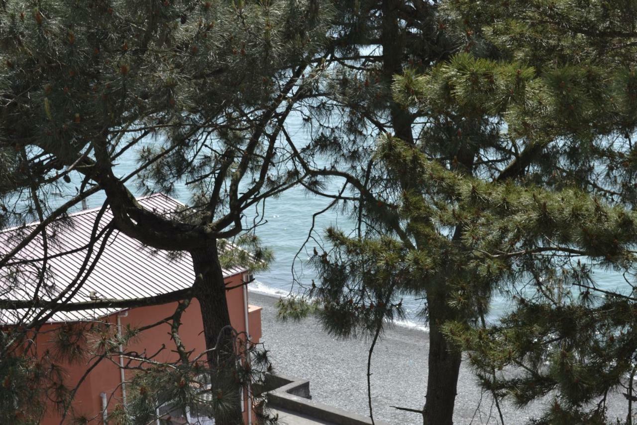 Seaside Apartment Kobuleti Zewnętrze zdjęcie